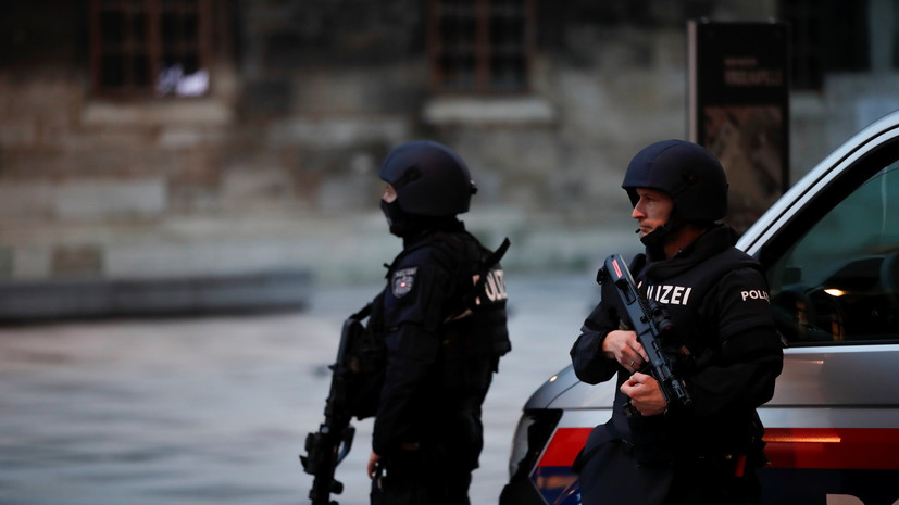 В Госдуме назвали чудовищным преступлением атаку в Вене