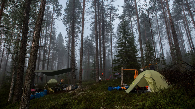 Эксперт рассказала о конкурсе по развитию экотуризма