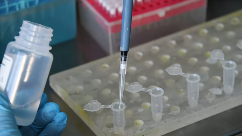 Эксперт рассказал о факторах, влияющих на распространение пандемии