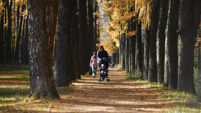 Синоптик рассказал о погоде в ЦФО