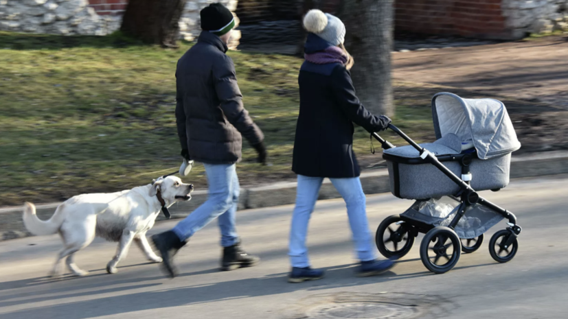 В Минтруде заявили о планах ежегодной индексации маткапитала