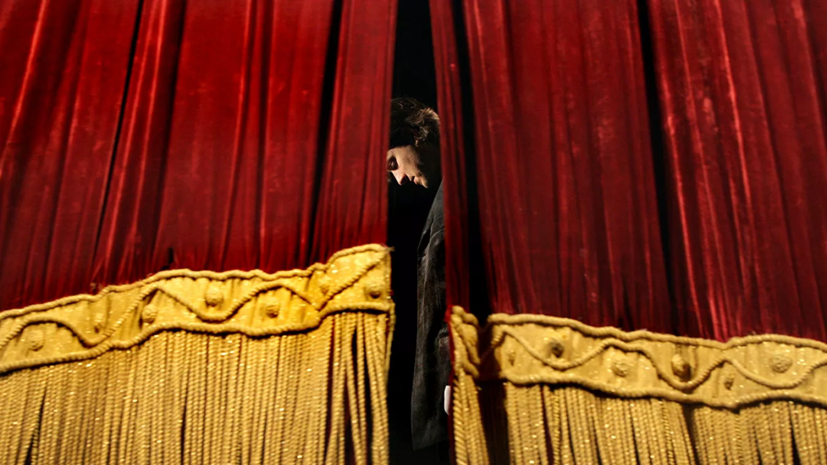 Режиссёр Лилит Шеина оценила работу театров онлайн