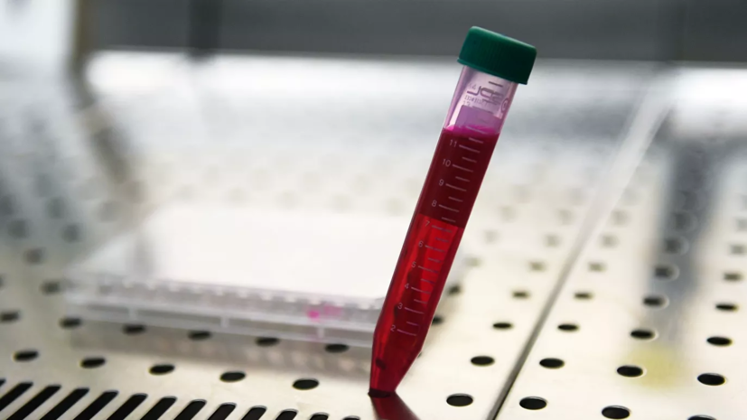 В «Векторе» оценили возможные объёмы производства вакцины в год