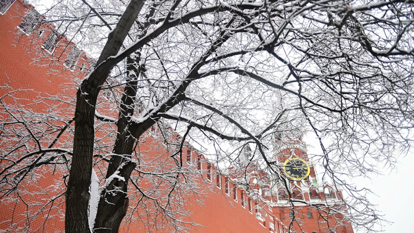 Власти Москвы рассказали, когда придут сильные морозы