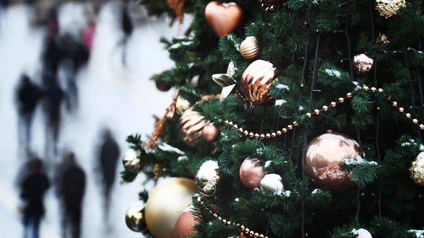 В Рослесинфорге заявили о снижении интереса к покупке новогодних ёлок