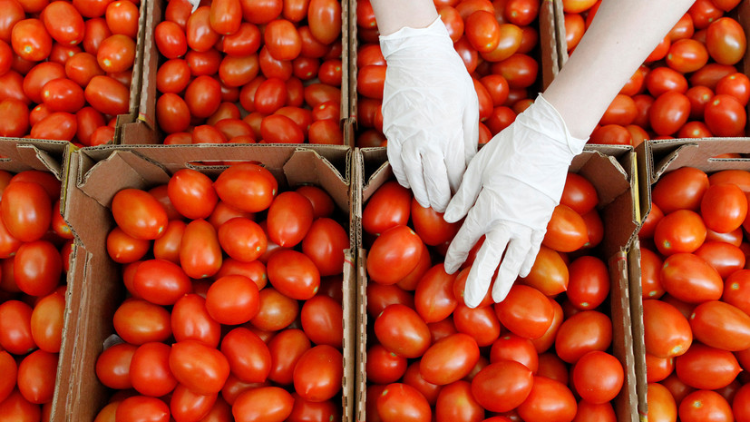 Россия с 14 декабря запрещает импорт томатов из одной области Армении