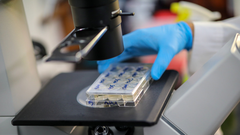 В Греции за сутки выявили 1534 новых случая коронавируса