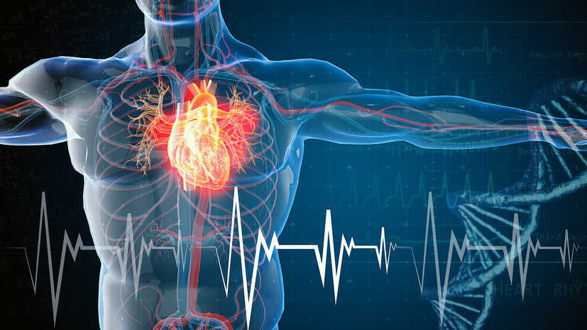 Без шока и боли: российские исследователи разработали щадящий метод лечения сердечных аритмий