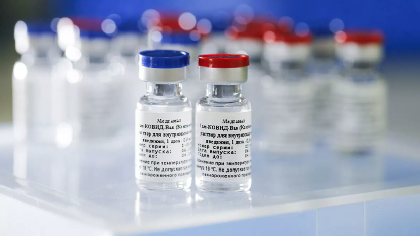 Biocad начала поставки «Спутника V» для вакцинации в России