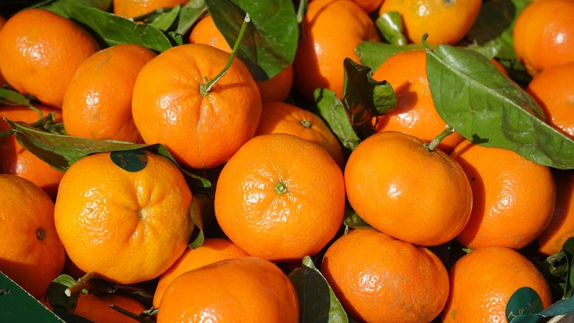 Медикам больницы в Удмуртии передали к Новому году более 2 т фруктов