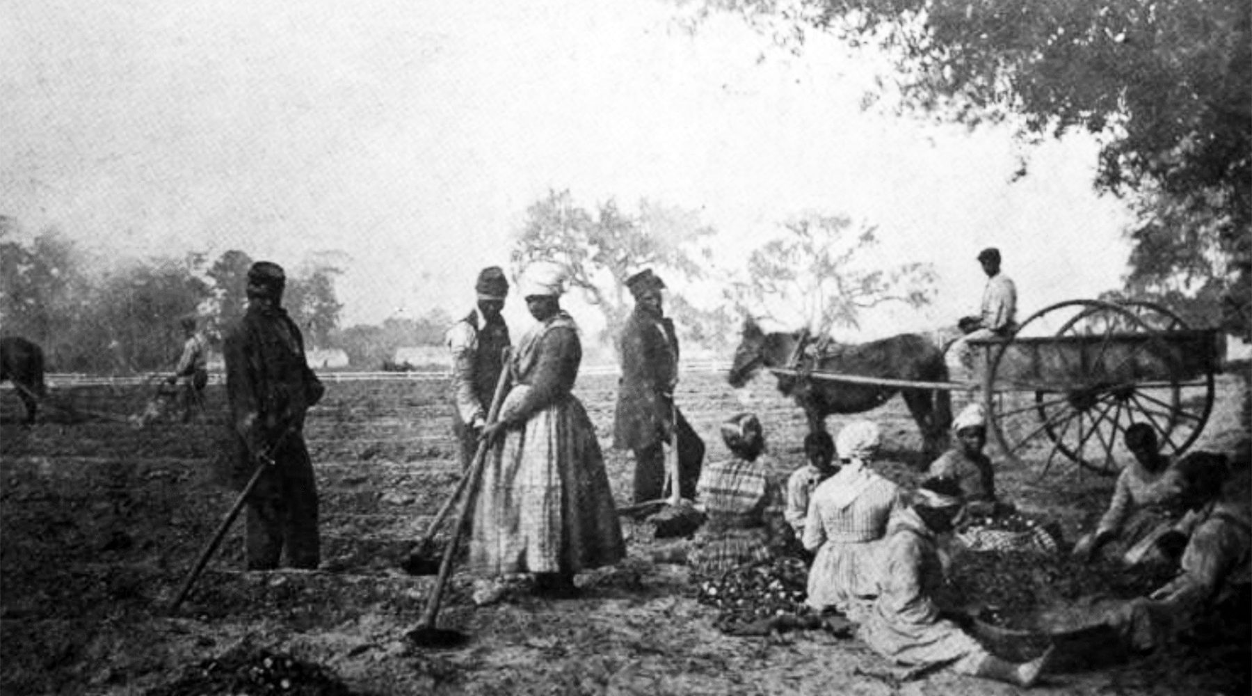 Как афроамериканцы оказались в северной америке. Рабовладельчество в США В 19 веке. Рабство в США 19 век. Рабовладельческий Юг США.