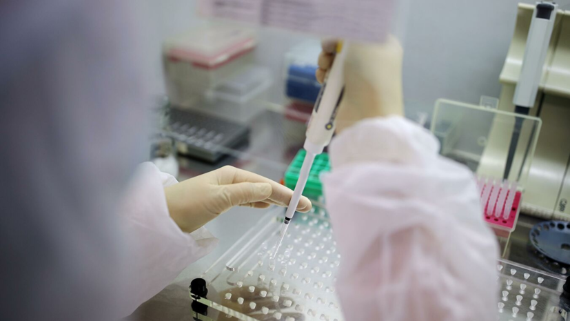 В России проведено более 93,2 млн тестов на коронавирус