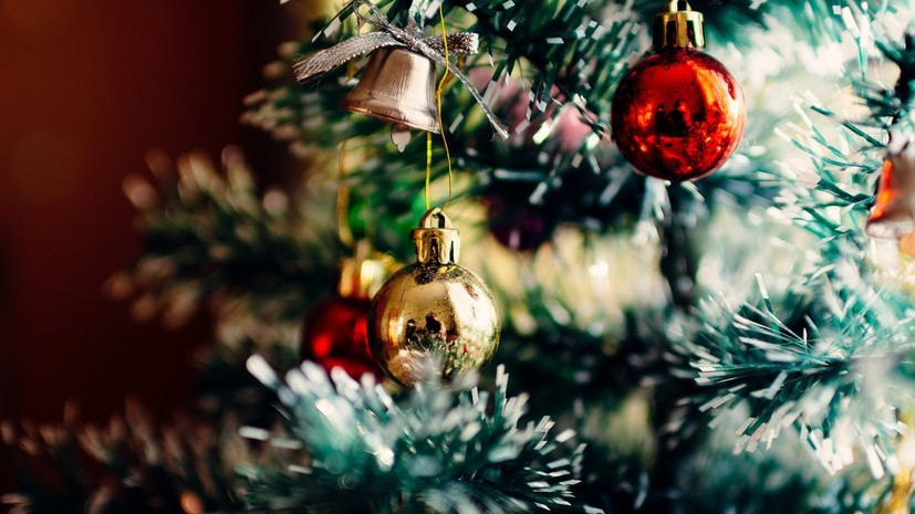 Психолог рассказала, почему некоторые россияне не спешат убирать новогоднюю ёлку