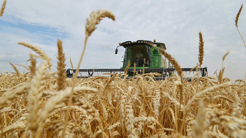 Минсельхоз предложил поднять пошлину на экспорт пшеницы