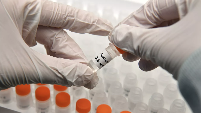 Более 95 млн тестов на коронавирус проведено в России