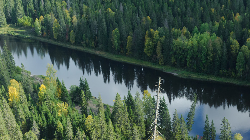 В Татарстане рассказали о планах по восстановлению лесов в 2021 году