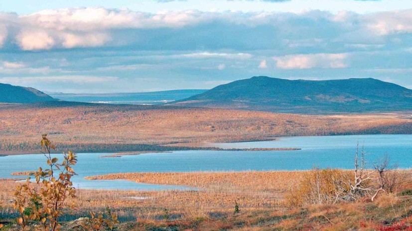 В Карелии определили границы 120 участков для программы «Арктический гектар»