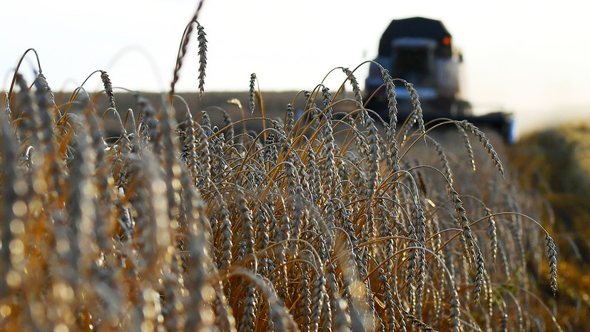 Россия с 1 марта повышает пошлину на вывоз пшеницы