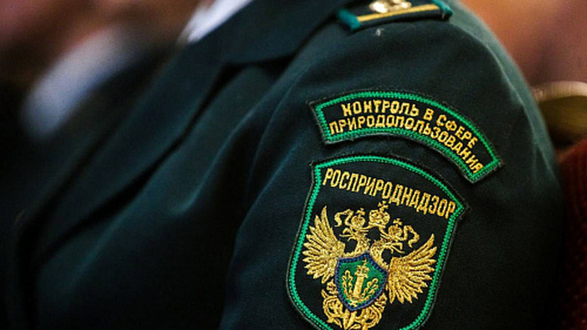 В Росприроднадзоре заявили о необходимости создания нейронной сети по экологии