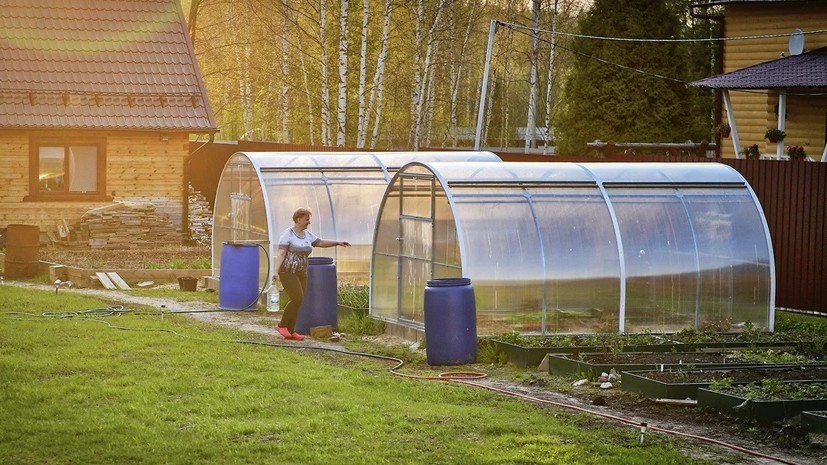 В Ставропольском крае рассказали о работе по поддержке садоводства