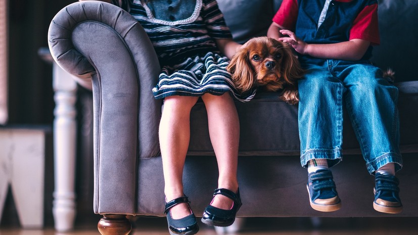 Психолог рассказала, почему дети не слушаются родителей