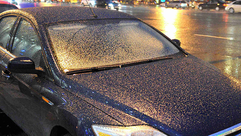 В Минтрансе Подмосковья предупредили о ледяном дожде 25 февраля