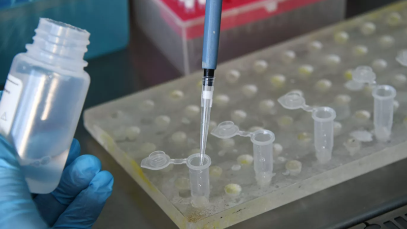 В Румынии число случаев коронавируса превысило 795 тысяч