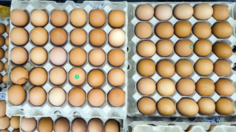 Эксперт спрогнозировал снижение цен на яйца и мясо птицы в России