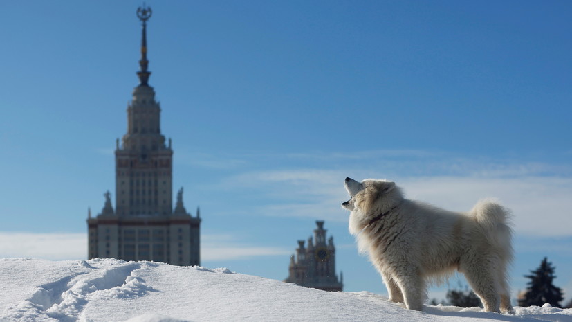 В Москве зафиксирована самая холодная ночь с начала календарной весны