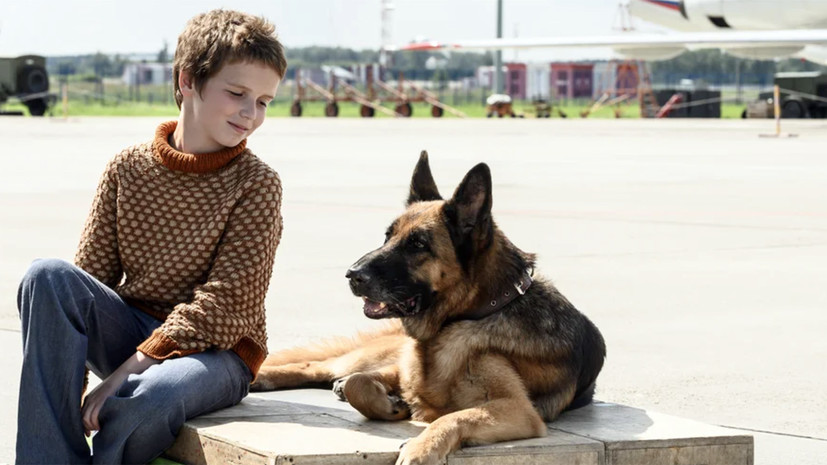 Шпионские игры и советский Хатико: какие фильмы выходят в российский прокат на этой неделе