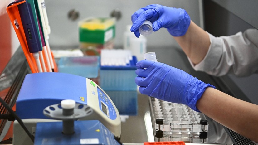 «В рамках молекулярно-генетического мониторинга»: в России выявлен южноафриканский штамм коронавируса