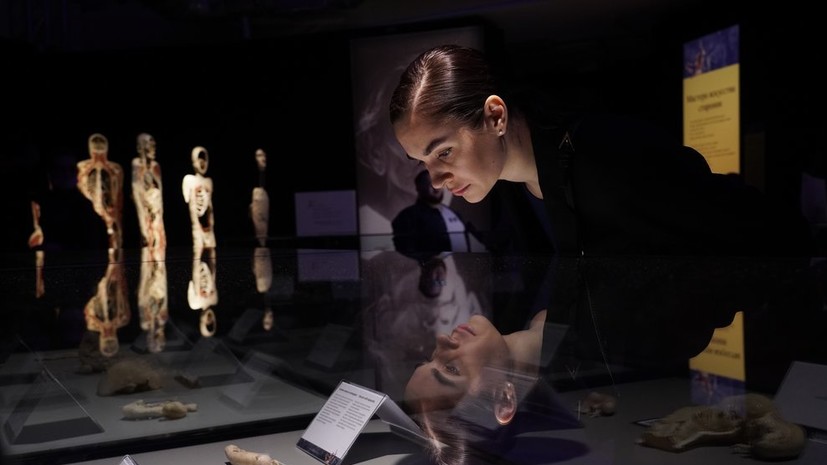 СК проверит организацию выставки человеческих тел в Москве