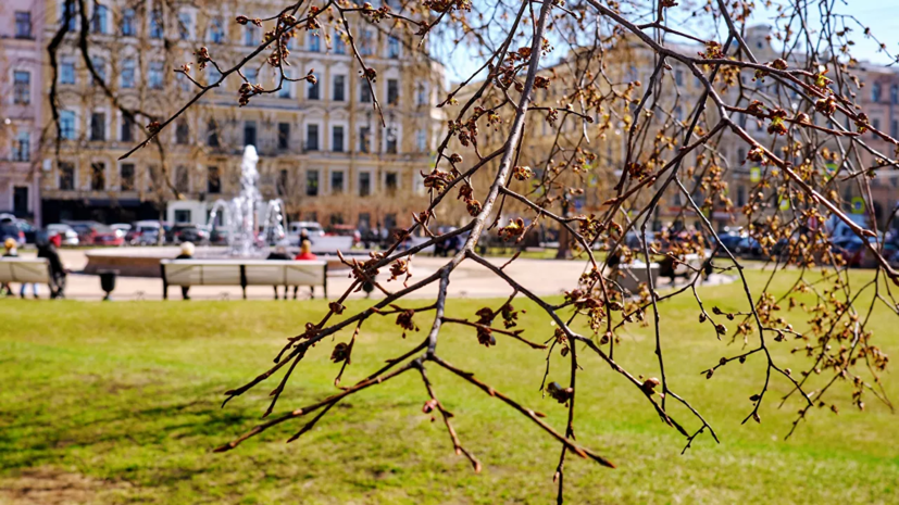 Метеоролог рассказал о погоде в средней полосе России в апреле