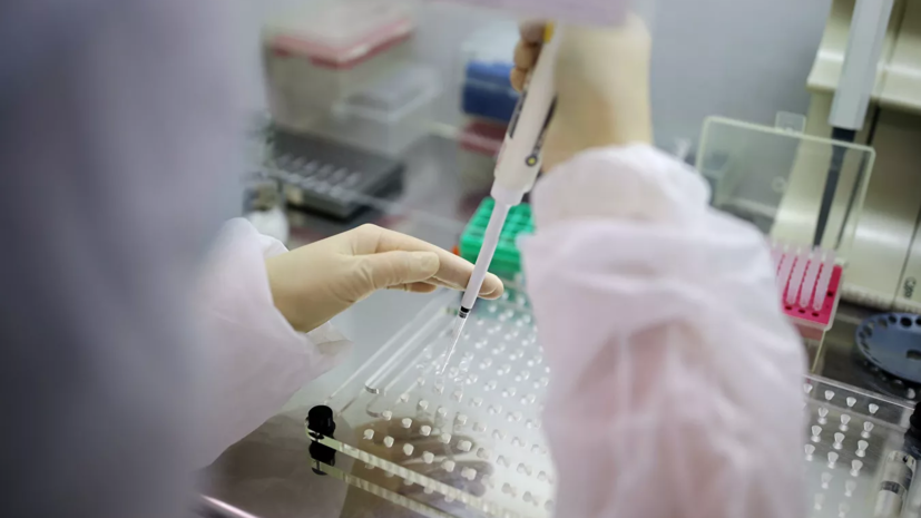 В России за сутки проведено 365 тысяч тестов на коронавирус