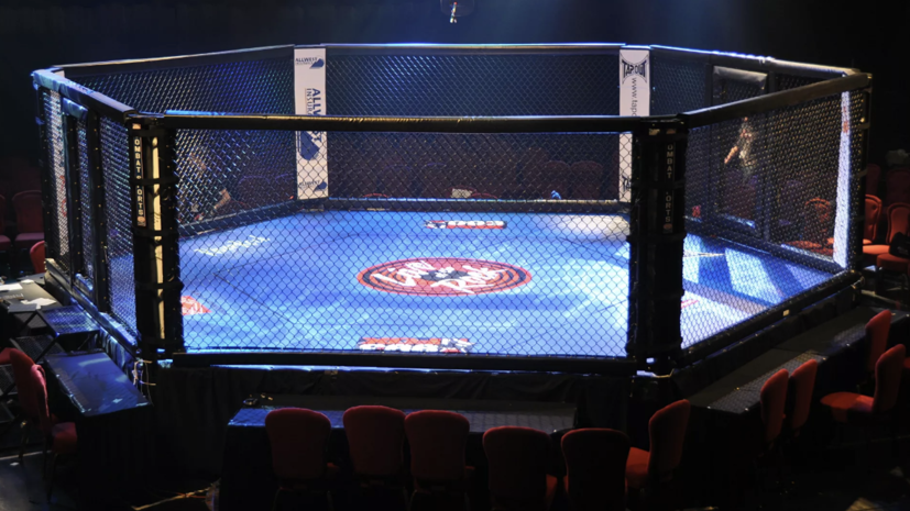 Авсарагова нокаутировала соперницу за 29 секунд в дебютном бою в Bellator