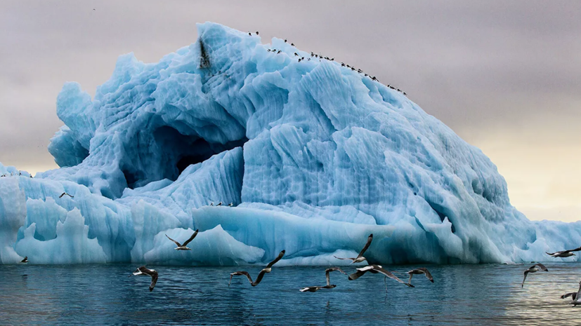 Путин рассказал об исследованиях в Арктике