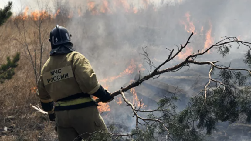 В Тюменской области рассказали о работе спасателей по тушению пожаров