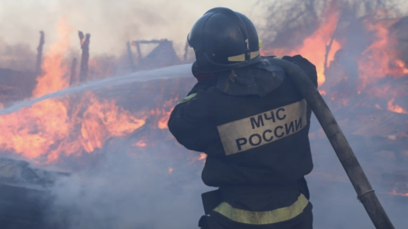 В России за сутки потушили 111 лесных пожаров