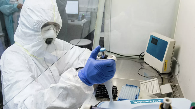 В России за сутки провели 236 тысяч тестов на коронавирус
