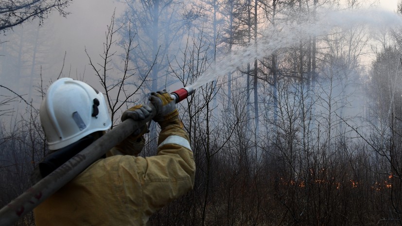 В России за сутки потушили 132 лесных пожара
