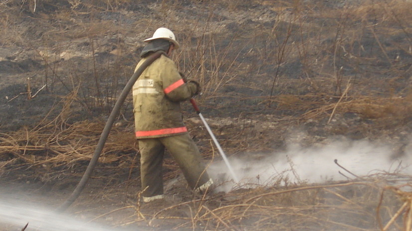В России за сутки потушили 117 лесных пожаров