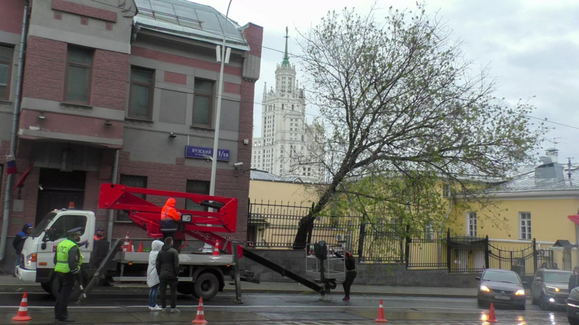 Ветер повалил в Москве 20 деревьев и повредил 12 автомобилей