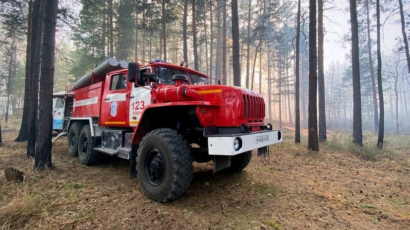 В России за сутки потушили 124 лесных пожара