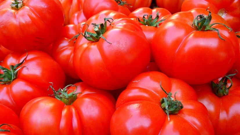 В Новой Москве выявили партию заражённых томатов из Туркменистана