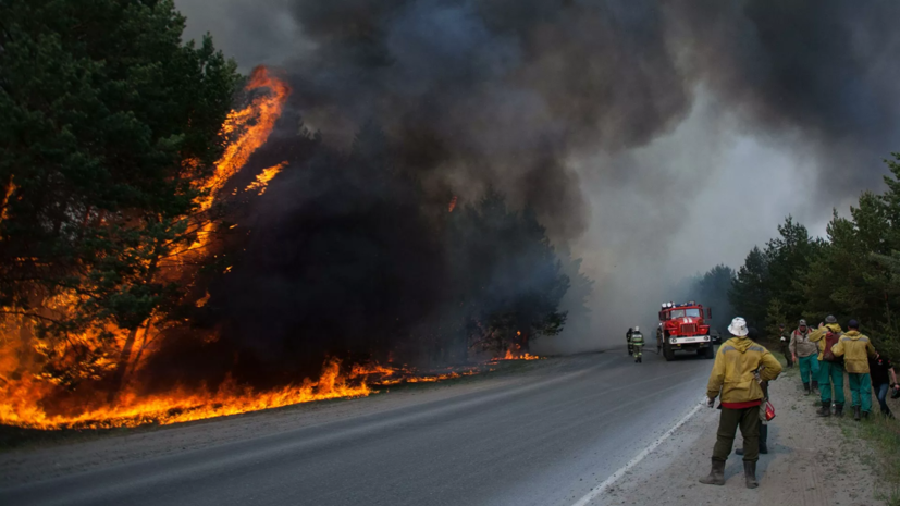 Движение на трассе Екатеринбург — Тюмень частично перекрыли из-за лесного пожара