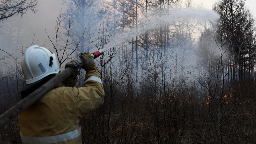 В России за сутки потушили 138 лесных пожаров