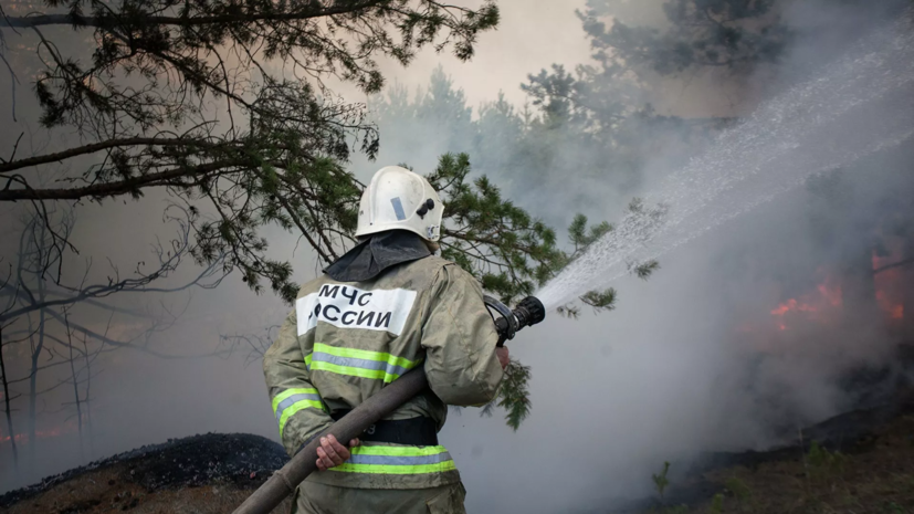В Тюменской области заявили об увеличении количества природных пожаров