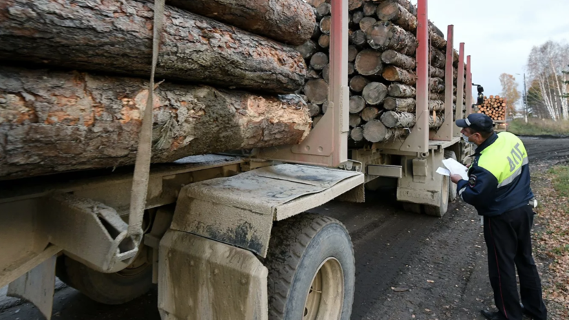 Кабмин одобрил пошлины на вывоз отдельных видов древесины