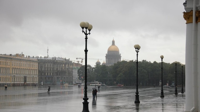 В Петербурге ураган повалил более 350 деревьев