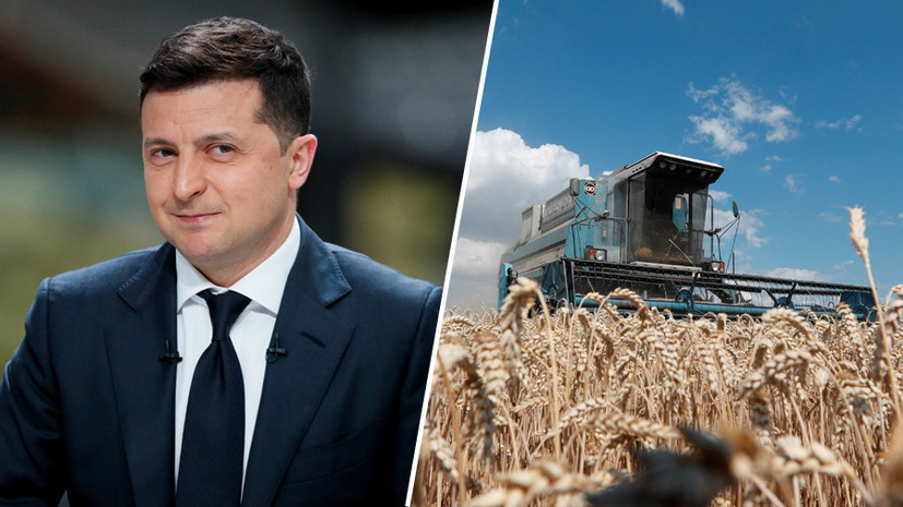 «Распродать до последней сотки»: как продвигается земельная реформа на Украине